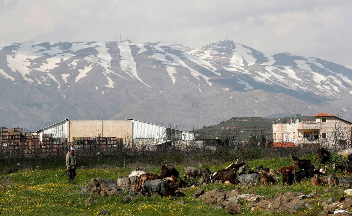 The Golan Heights is Arab Syrian Land